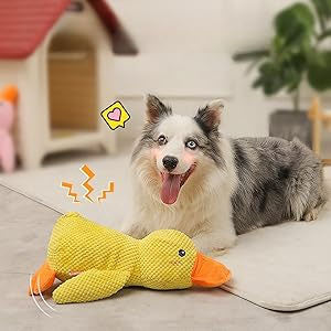 pawrella  Anatra Peluche con Squeak